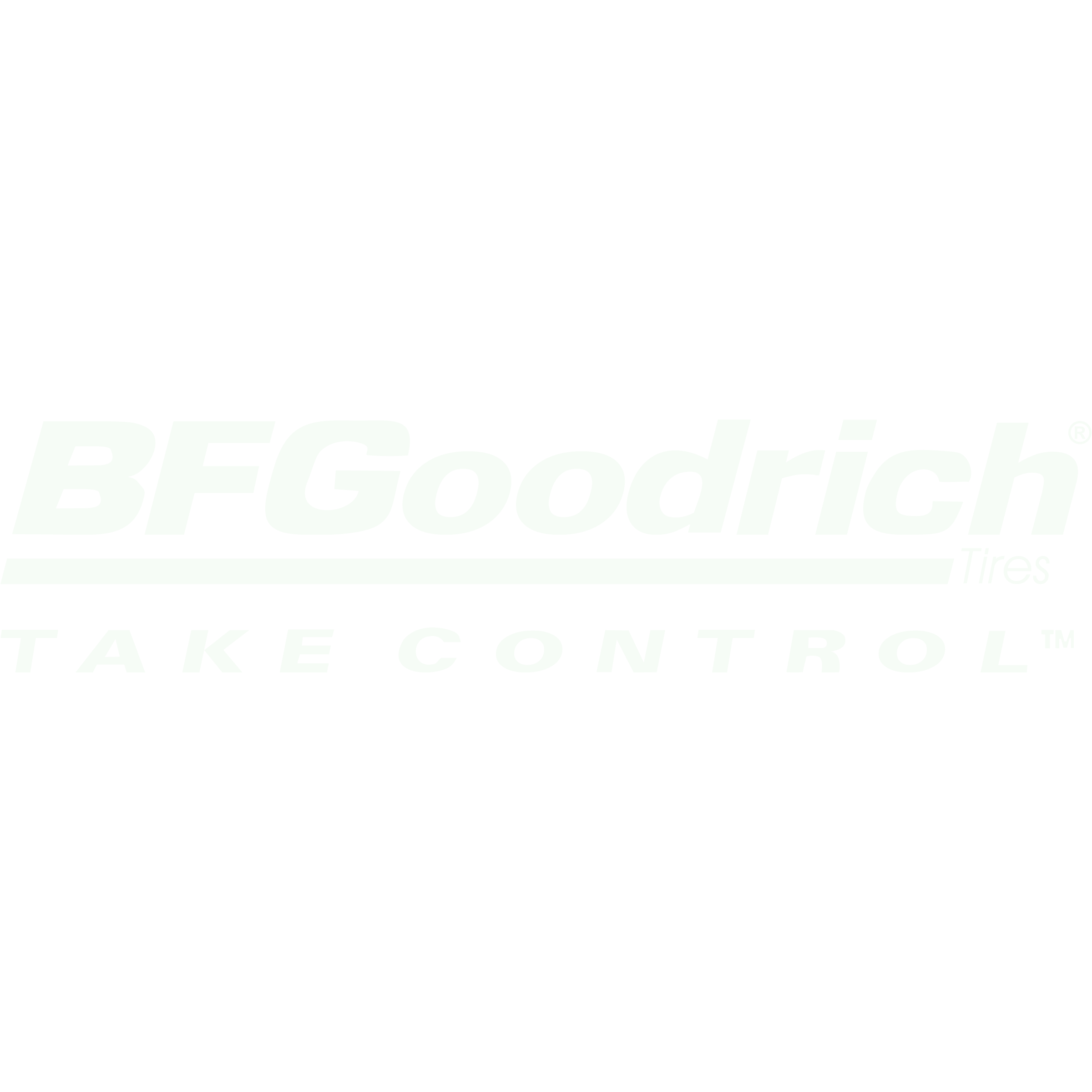 bf-goodrich-logo-png-transparent